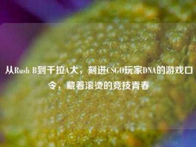从Rush B到干拉A大，刻进CSGO玩家DNA的游戏口令，藏着滚烫的竞技青春