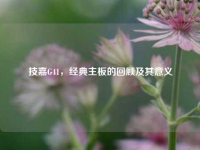 技嘉G41，经典主板的回顾及其意义