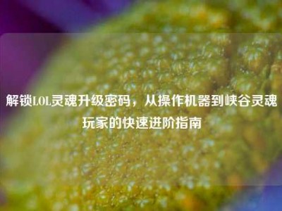 解锁LOL灵魂升级密码，从操作机器到峡谷灵魂玩家的快速进阶指南
