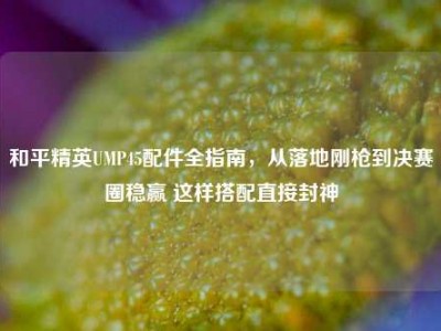 和平精英UMP45配件全指南，从落地刚枪到决赛圈稳赢 这样搭配直接封神