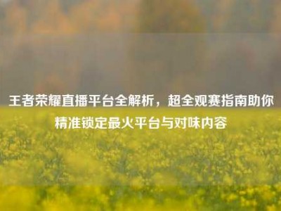 王者荣耀直播平台全解析，超全观赛指南助你精准锁定最火平台与对味内容