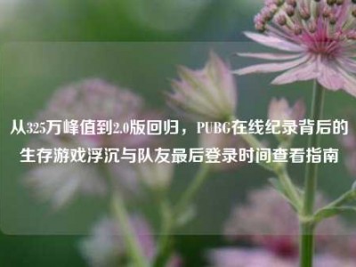 从325万峰值到2.0版回归，PUBG在线纪录背后的生存游戏浮沉与队友最后登录时间查看指南