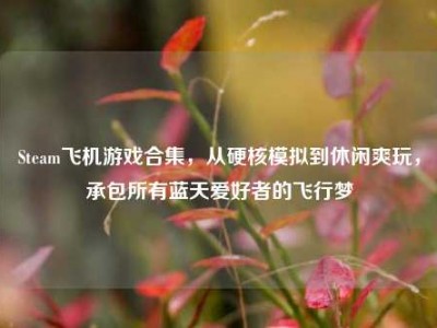 Steam飞机游戏合集，从硬核模拟到休闲爽玩，承包所有蓝天爱好者的飞行梦