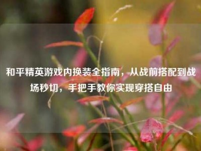 和平精英游戏内换装全指南，从战前搭配到战场秒切，手把手教你实现穿搭自由