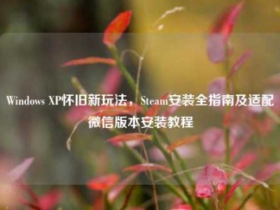 Windows XP怀旧新玩法，Steam安装全指南及适配微信版本安装教程