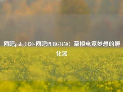 网吧pubg1450-网吧PUBG1450：草根电竞梦想的孵化器