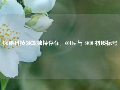 探秘科技领域独特存在，6010c 与 6010 材质标号