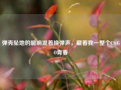 弹壳坠地的脆响混着换弹声，藏着我一整个CS:GO青春