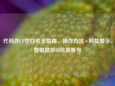 代码改CF空白名全指南，操作方法+风险警示，警惕隐形ID坑害账号