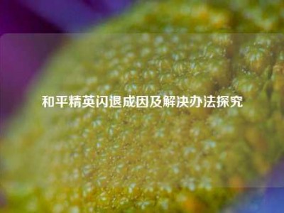 和平精英闪退成因及解决办法探究