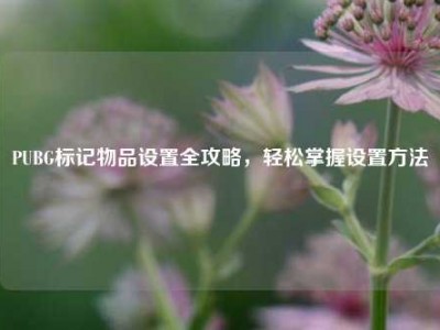 PUBG标记物品设置全攻略，轻松掌握设置方法