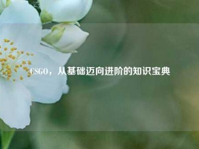 CSGO，从基础迈向进阶的知识宝典