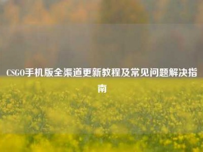 CSGO手机版全渠道更新教程及常见问题解决指南