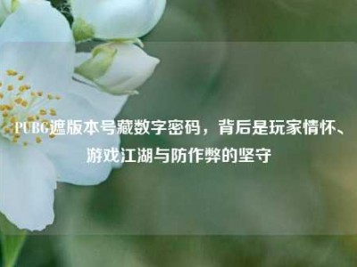 PUBG遮版本号藏数字密码，背后是玩家情怀、游戏江湖与防作弊的坚守