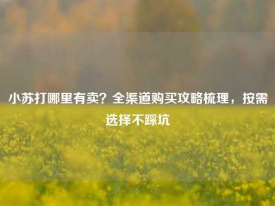 小苏打哪里有卖？全渠道购买攻略梳理，按需选择不踩坑