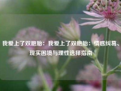 我爱上了双胞胎：我爱上了双胞胎：情感纠葛、现实困境与理性选择指南
