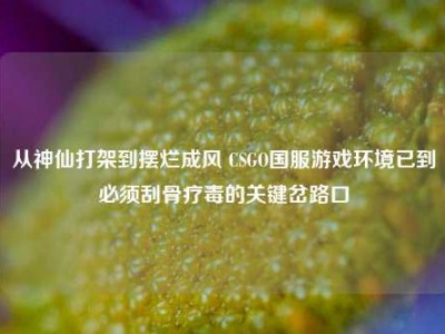 从神仙打架到摆烂成风 CSGO国服游戏环境已到必须刮骨疗毒的关键岔路口