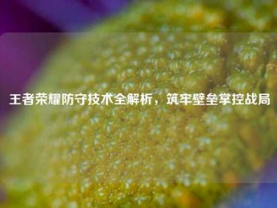 王者荣耀防守技术全解析，筑牢壁垒掌控战局