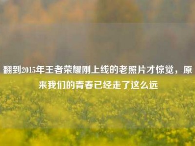 翻到2015年王者荣耀刚上线的老照片才惊觉，原来我们的青春已经走了这么远
