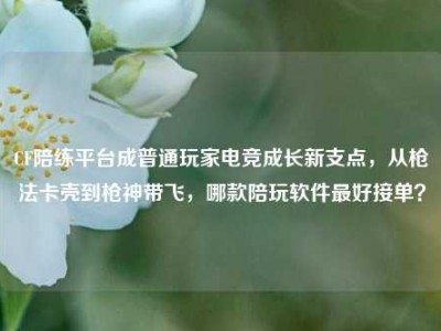 CF陪练平台成普通玩家电竞成长新支点，从枪法卡壳到枪神带飞，哪款陪玩软件最好接单？