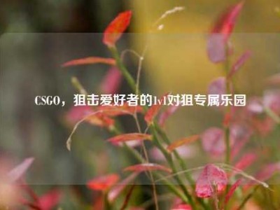 CSGO，狙击爱好者的1v1对狙专属乐园