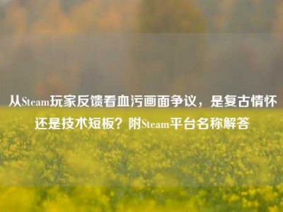 从Steam玩家反馈看血污画面争议，是复古情怀还是技术短板？附Steam平台名称解答