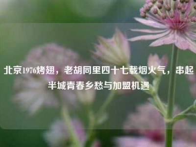 北京1976烤翅，老胡同里四十七载烟火气，串起半城青春乡愁与加盟机遇