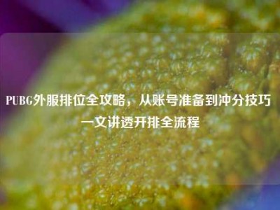 PUBG外服排位全攻略，从账号准备到冲分技巧 一文讲透开排全流程