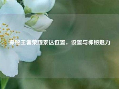探秘王者荣耀泰达位置，设置与神秘魅力