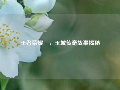 王者荣耀暃，玉城传奇故事揭秘