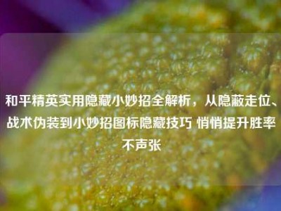 和平精英实用隐藏小妙招全解析，从隐蔽走位、战术伪装到小妙招图标隐藏技巧 悄悄提升胜率不声张