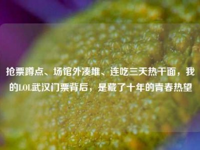 抢票蹲点、场馆外凑堆、连吃三天热干面，我的LOL武汉门票背后，是藏了十年的青春热望