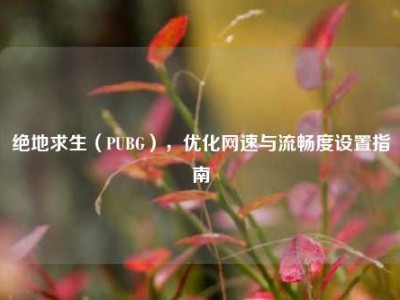 绝地求生（PUBG），优化网速与流畅度设置指南