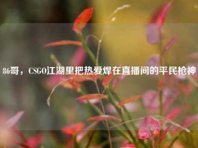 86哥，CSGO江湖里把热爱焊在直播间的平民枪神
