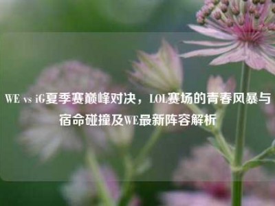 WE vs iG夏季赛巅峰对决，LOL赛场的青春风暴与宿命碰撞及WE最新阵容解析