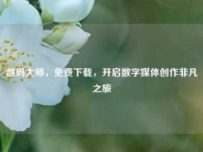 数码大师，免费下载，开启数字媒体创作非凡之旅