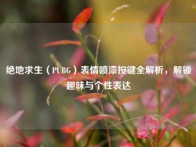 绝地求生（PUBG）表情喷漆按键全解析，解锁趣味与个性表达