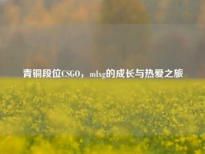 青铜段位CSGO，mlxg的成长与热爱之旅