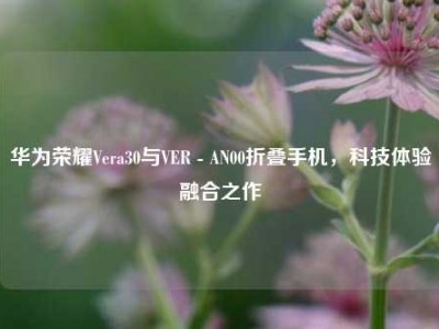 华为荣耀Vera30与VER - AN00折叠手机，科技体验融合之作