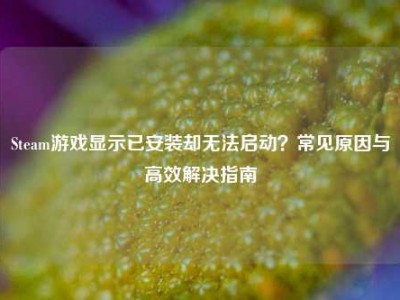 Steam游戏显示已安装却无法启动？常见原因与高效解决指南
