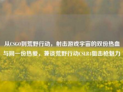 从CSGO到荒野行动，射击游戏宇宙的双份热血与同一份热爱，兼谈荒野行动CSLR4狙击枪魅力