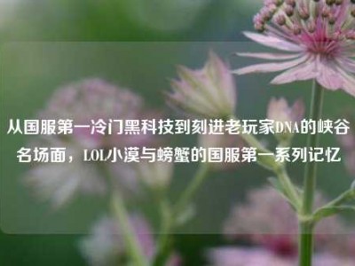 从国服第一冷门黑科技到刻进老玩家DNA的峡谷名场面，LOL小漠与螃蟹的国服第一系列记忆