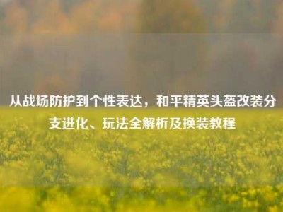 从战场防护到个性表达，和平精英头盔改装分支进化、玩法全解析及换装教程