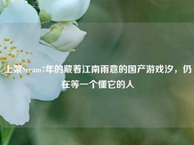 上架Steam7年的藏着江南雨意的国产游戏汐，仍在等一个懂它的人