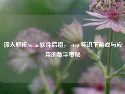 深入解析Steam软件后缀， -tcp 标识下游戏与应用的数字奥秘