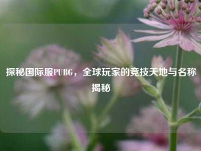 探秘国际服PUBG，全球玩家的竞技天地与名称揭秘