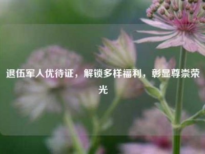 退伍军人优待证，解锁多样福利，彰显尊崇荣光