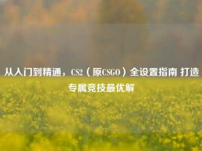从入门到精通，CS2（原CSGO）全设置指南 打造专属竞技最优解