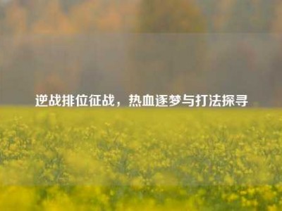 逆战排位征战，热血逐梦与打法探寻