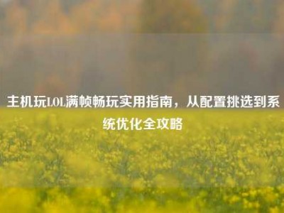 主机玩LOL满帧畅玩实用指南，从配置挑选到系统优化全攻略
